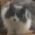 Profile picture of Stacy Reid
